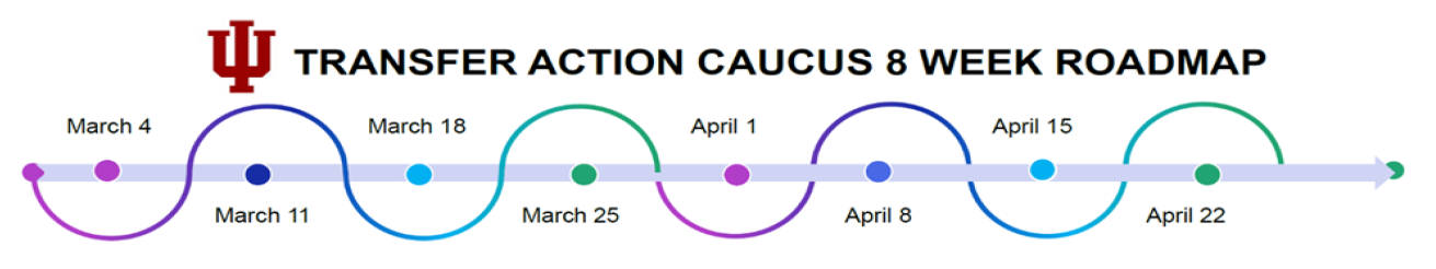 Transfer Action Caucus 8-week Roadmap image. March 4 through April 22, 2021